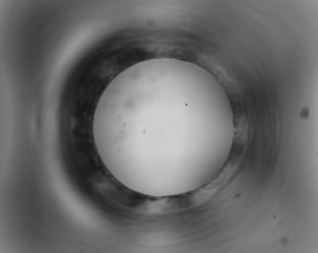 X0000102460430200808221623