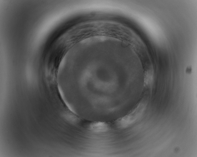 X0000102460431200808221623