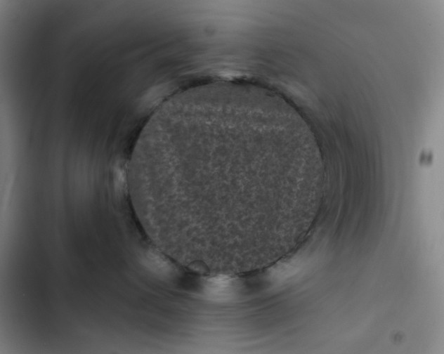 X0000102460432200808221623