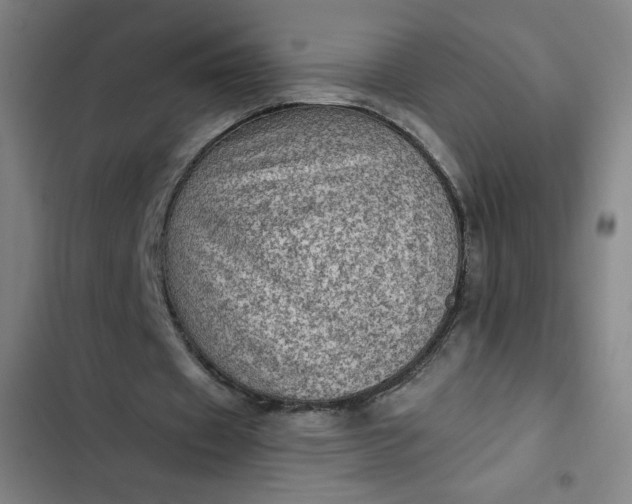 X0000102460433200808221622