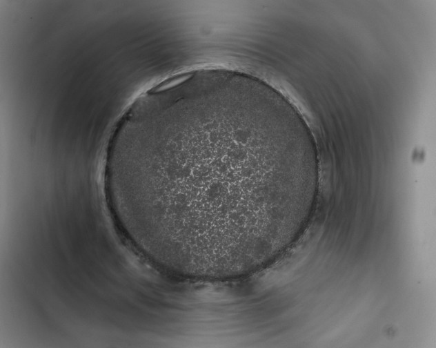 X0000102460434200808221622