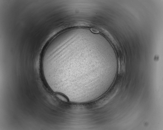 X0000102460435200808221622