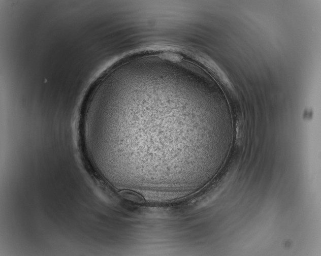 X0000102460436200808221623