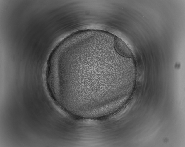 X0000102460437200808221623