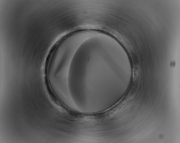 X0000102460438200808221623