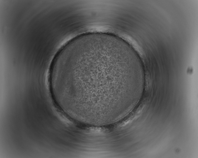 X0000102460439200808221623