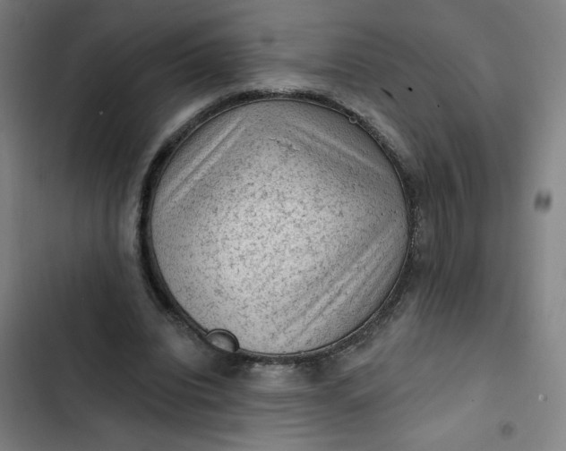 X0000102460440200808221623