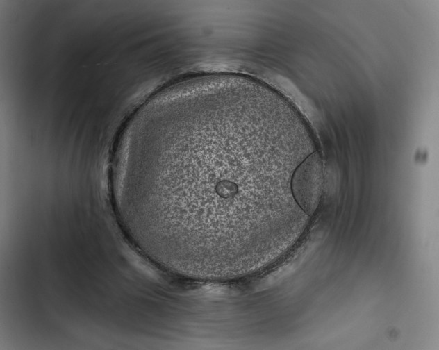 X0000102460441200808221623