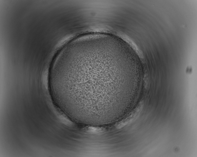 X0000102460442200808221623