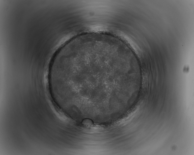 X0000102460443200808221623