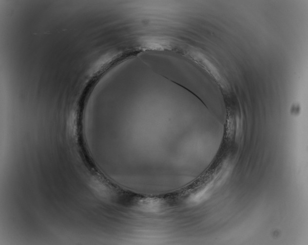 X0000102460444200808221623