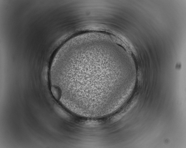 X0000102460445200808221623