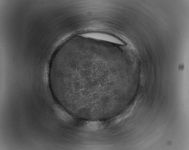 X0000102460446200808221623