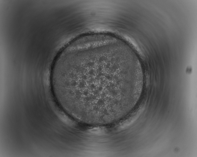 X0000102460447200808221623