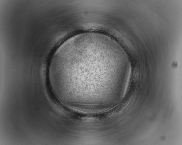 X0000102460448200808221623