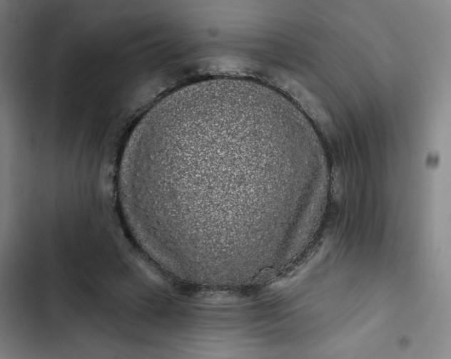 X0000102460449200808221623