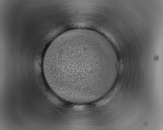 X0000102460450200808221623