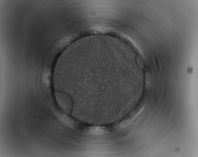 X0000102460451200808221623