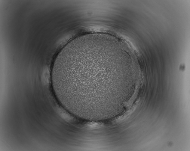 X0000102460453200808221623