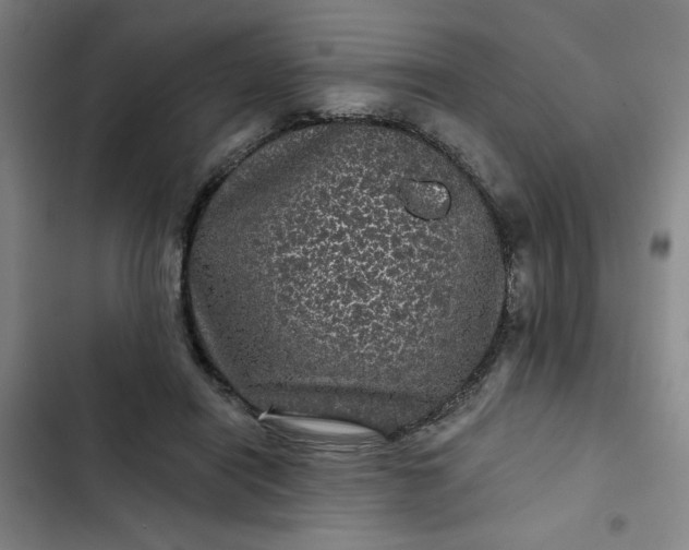 X0000102460454200808221623