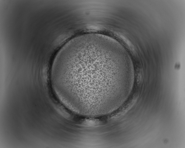 X0000102460455200808221623