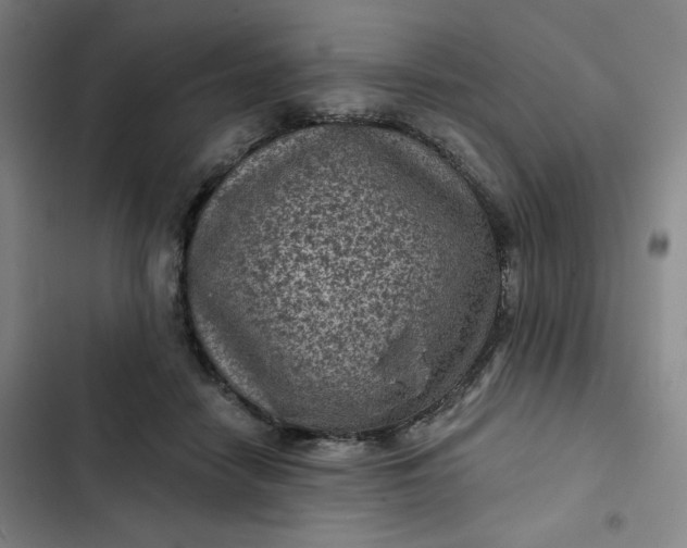 X0000102460458200808221623