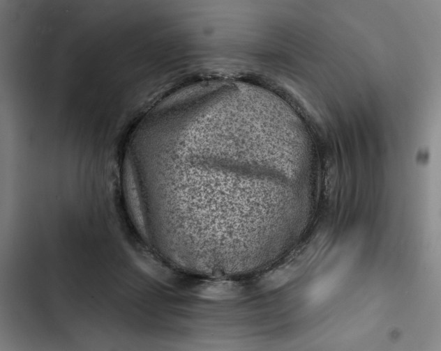 X0000102460459200808221623