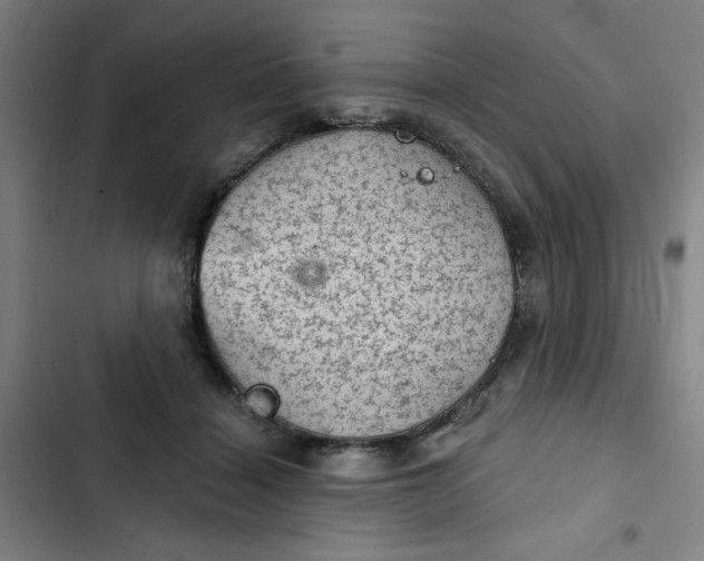 X0000102460460200808221623