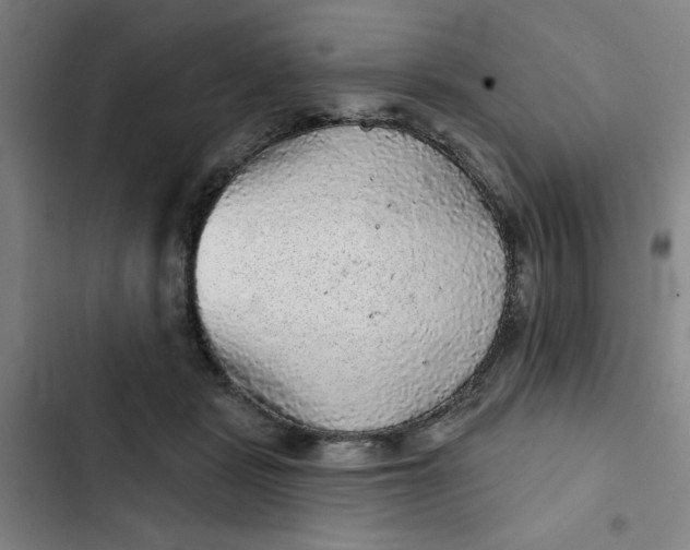 X0000102460461200808221623