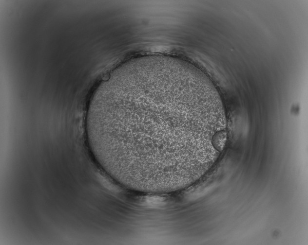 X0000102460462200808221623