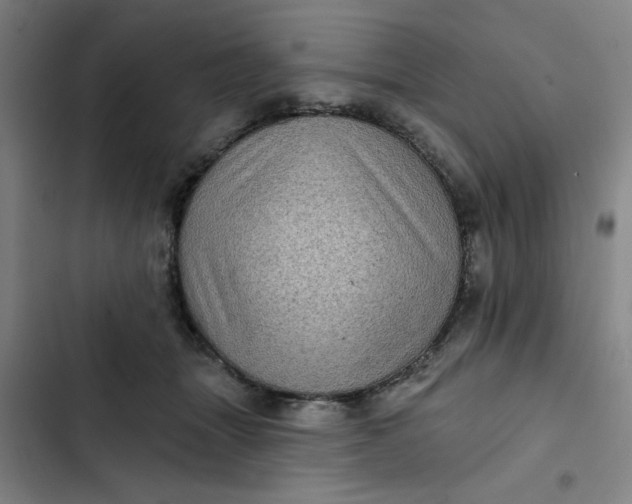 X0000102460463200808221623