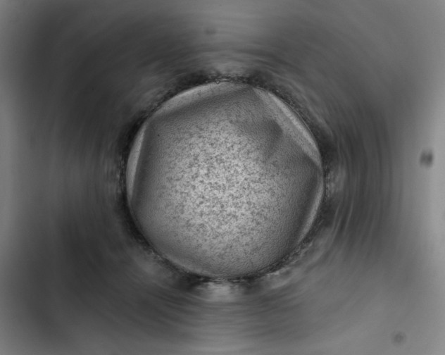 X0000102460464200808221623