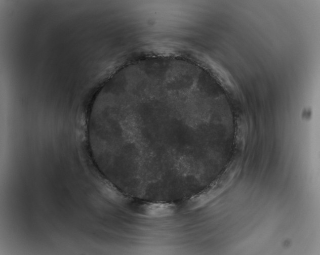 X0000102460465200808221623