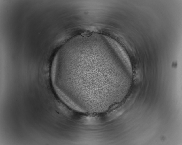 X0000102460466200808221623