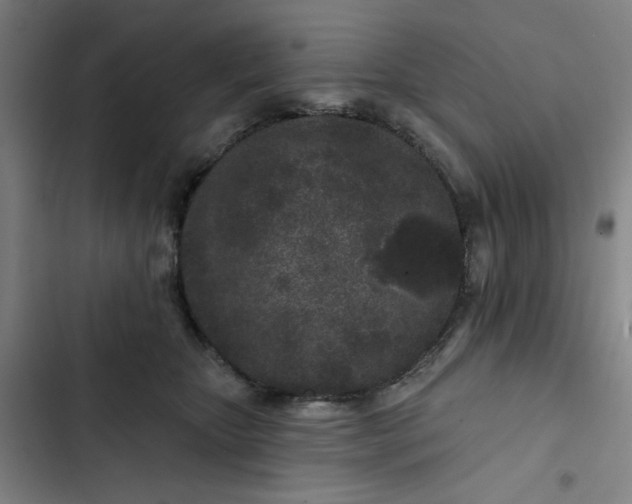 X0000102460467200808221623