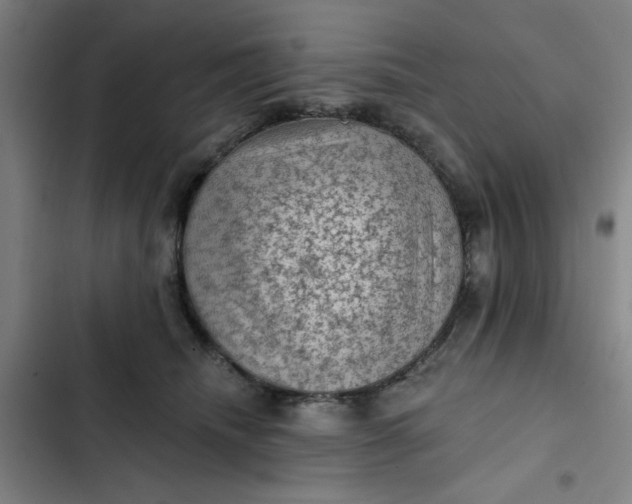 X0000102460468200808221623