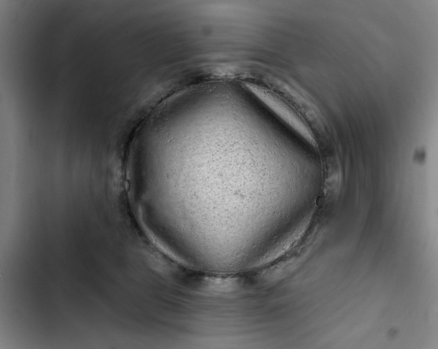 X0000102460469200808221623