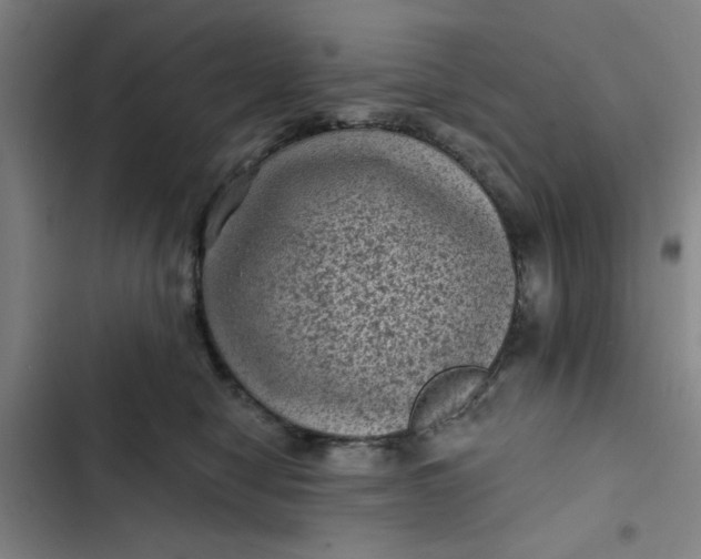 X0000102460470200808221623