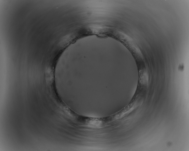 X0000102460471200808221623