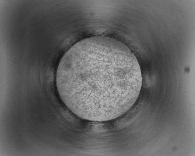 X0000102460472200808221623