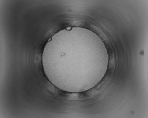 X0000102460473200808221623