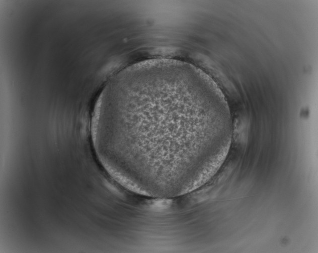 X0000102460474200808221623