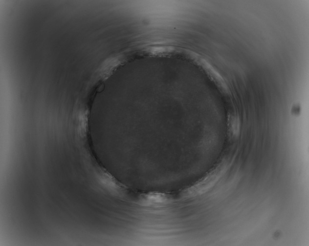 X0000102460475200808221623