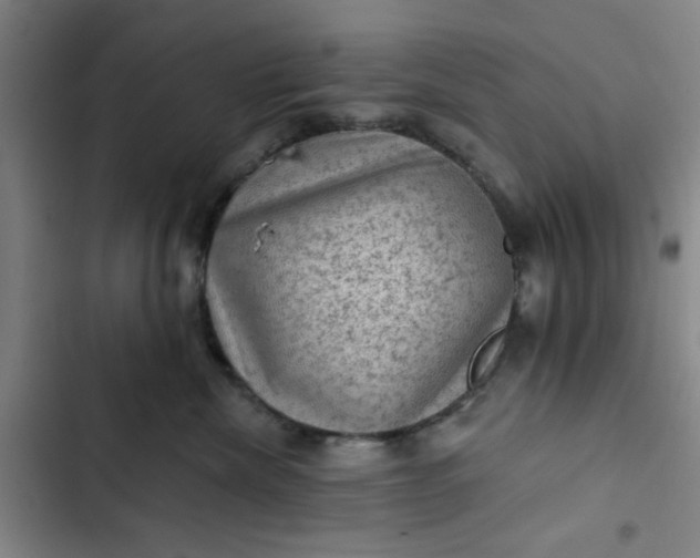 X0000102460476200808221623