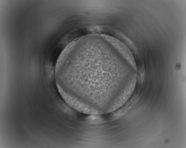 X0000102460477200808221623