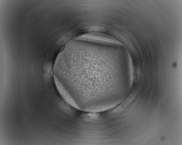 X0000102460478200808221623