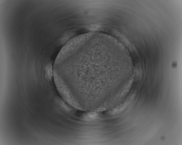 X0000102460479200808221623