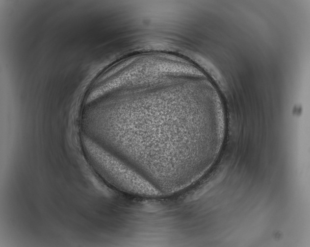 X0000102460481200808221622