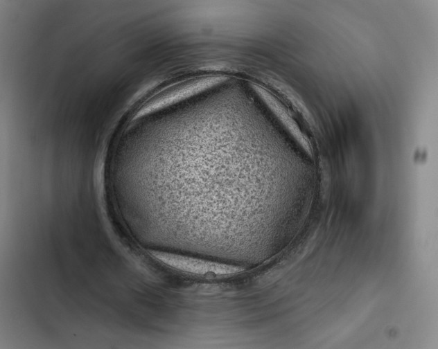 X0000102460482200808221622