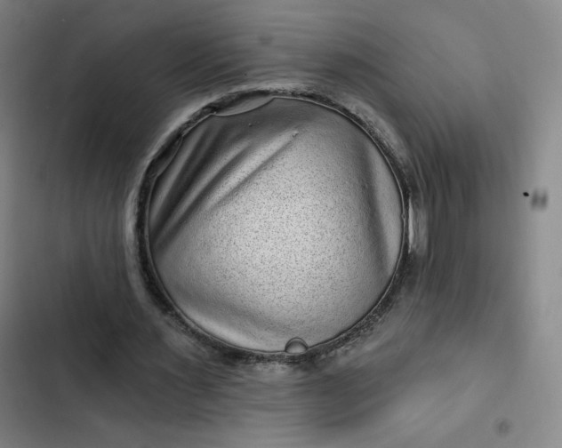 X0000102460483200808221622